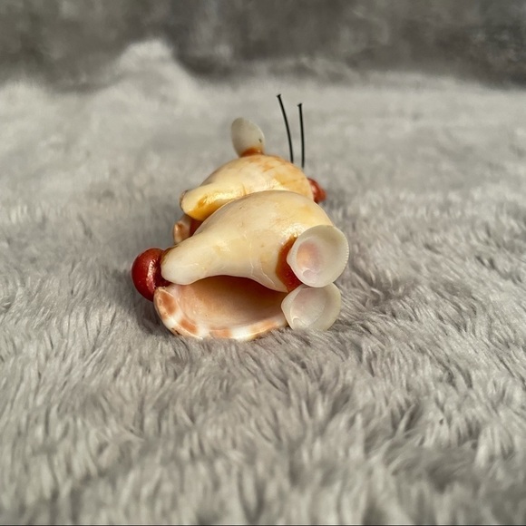 Sea Shell Figurines Set of 3 Mouse, Turtle & Lion - Picture 5 of 16